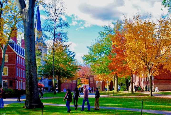 À la découverte de Boston et son Université&nbsp;Harvard
