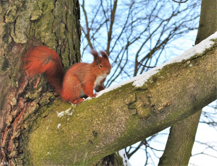 Séjour hivernal à&nbsp;Varsovie