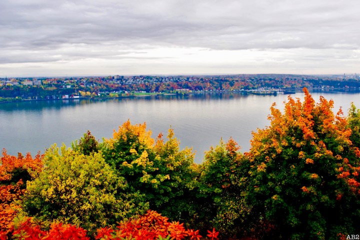 Fêter Thanksgiving comme il se doit à&nbsp;Québec