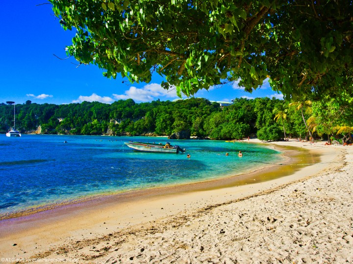 À la découverte de l&rsquo;île papillon – L&rsquo;archipel de la&nbsp;Guadeloupe