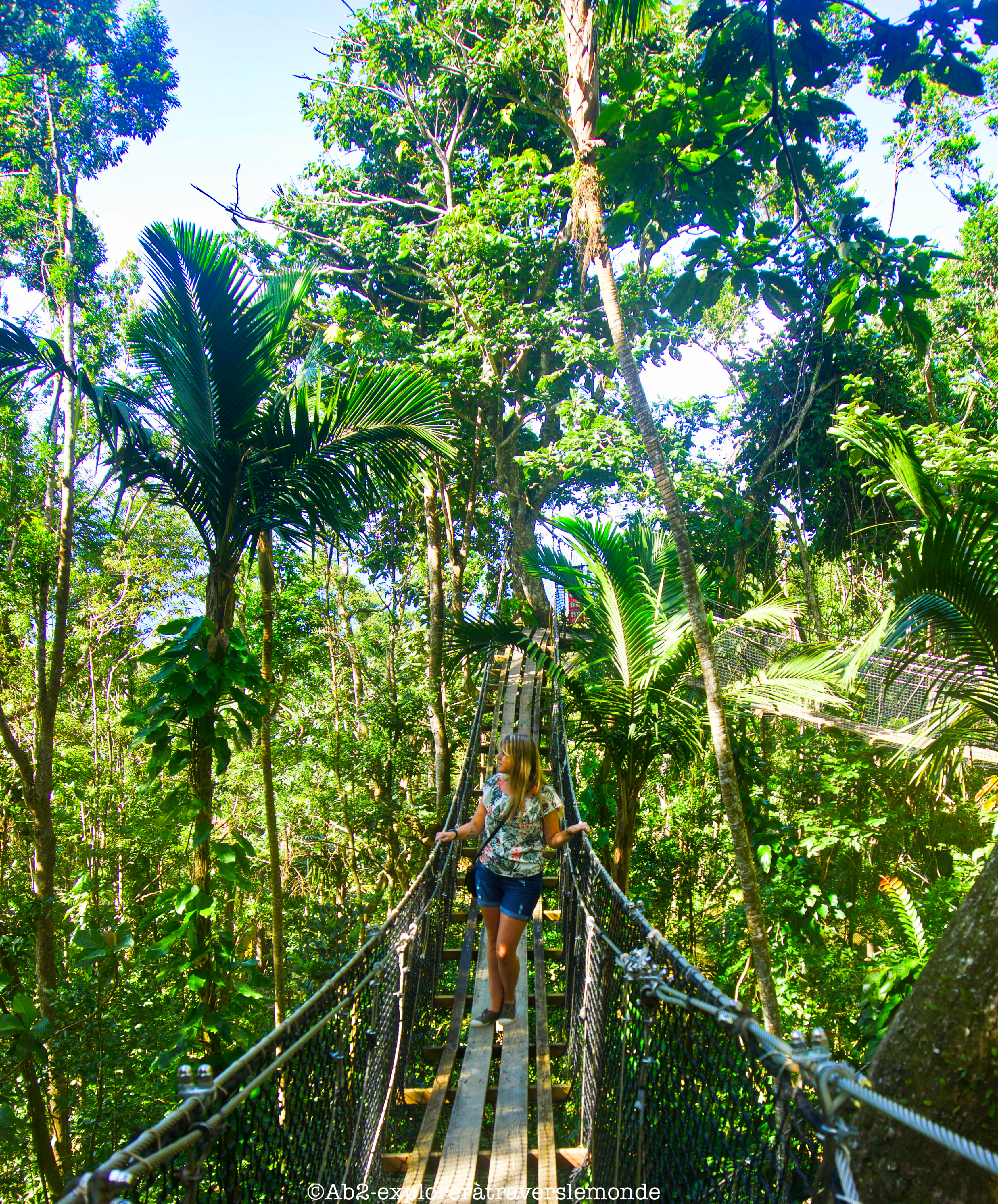 zoo de guadeloupe - pont 2