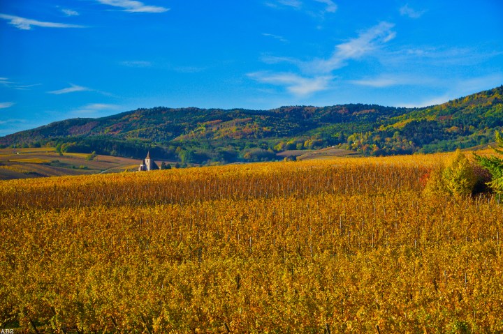 L&rsquo;Alsace en passant par Genève en quatre&nbsp;jours