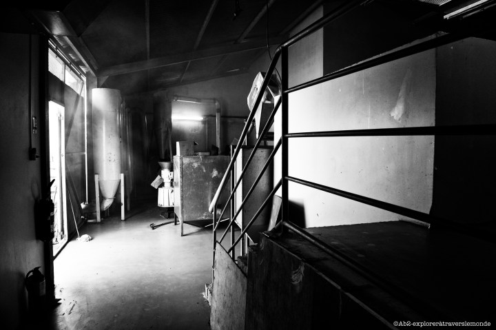 marie-galante - sucre à canne