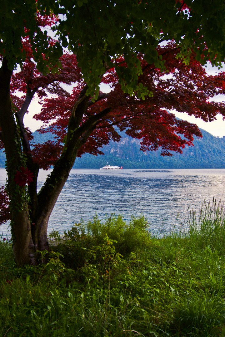 Lac des quatre cantons