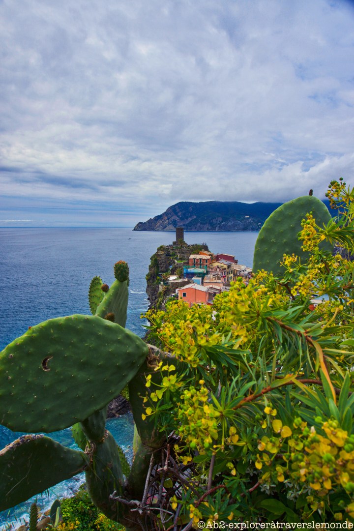 Vue en hauteur de Vernazza